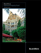BlackRock Diamond (2009)