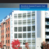 BlackRock Diamond (2010)