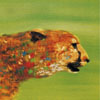 Trans-Lux (1996)